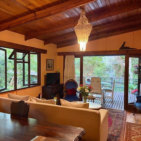 Nature'S Valley Health Retreat A Hide Away In The Forest Luaran gambar