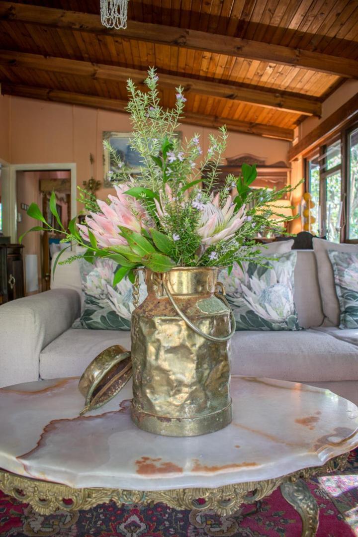 Nature'S Valley Health Retreat A Hide Away In The Forest Luaran gambar