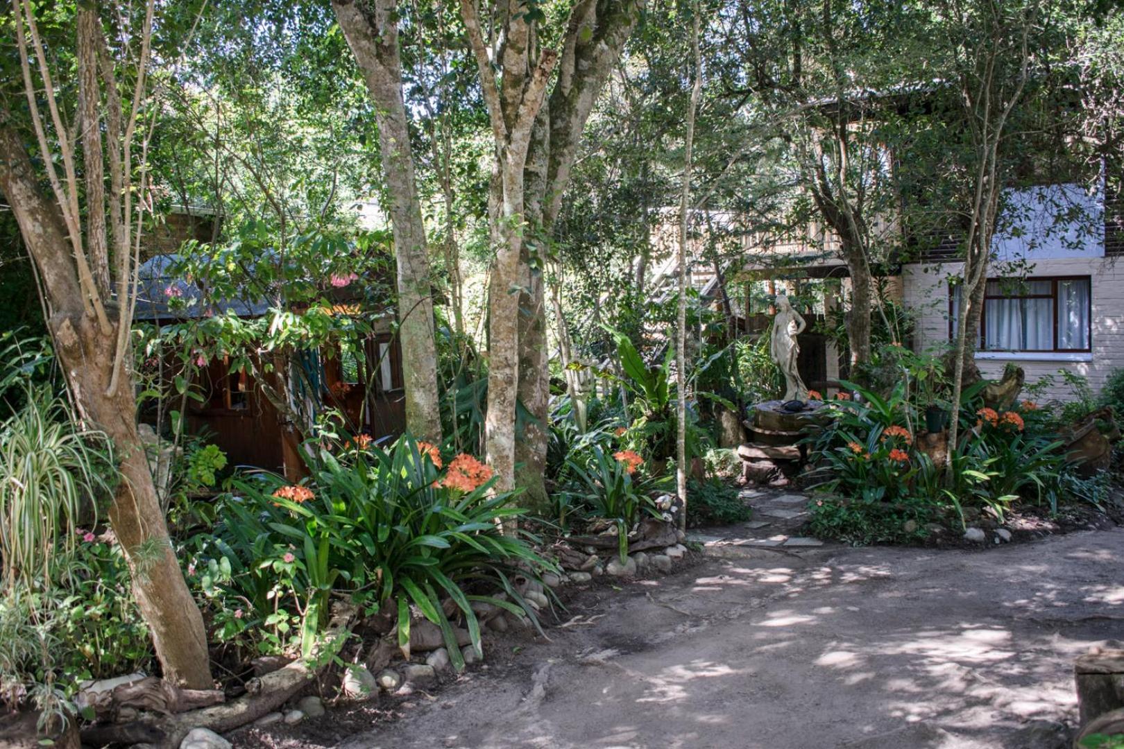 Nature'S Valley Health Retreat A Hide Away In The Forest Luaran gambar