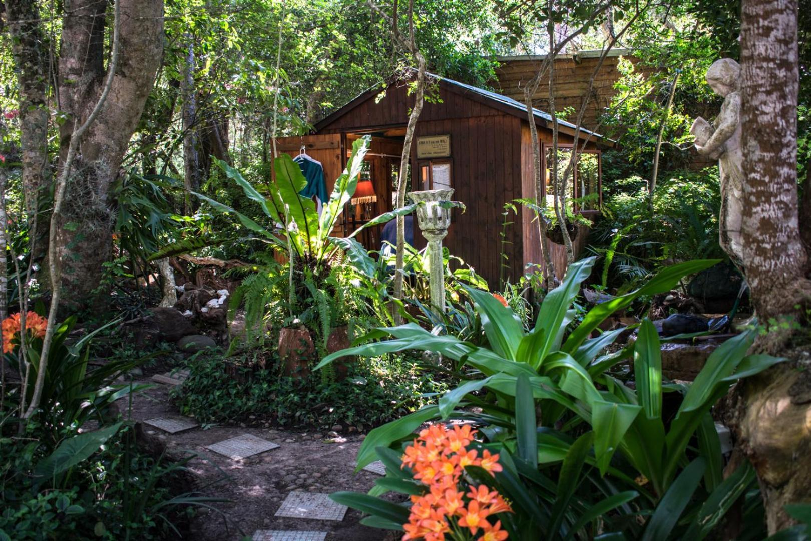 Nature'S Valley Health Retreat A Hide Away In The Forest Luaran gambar