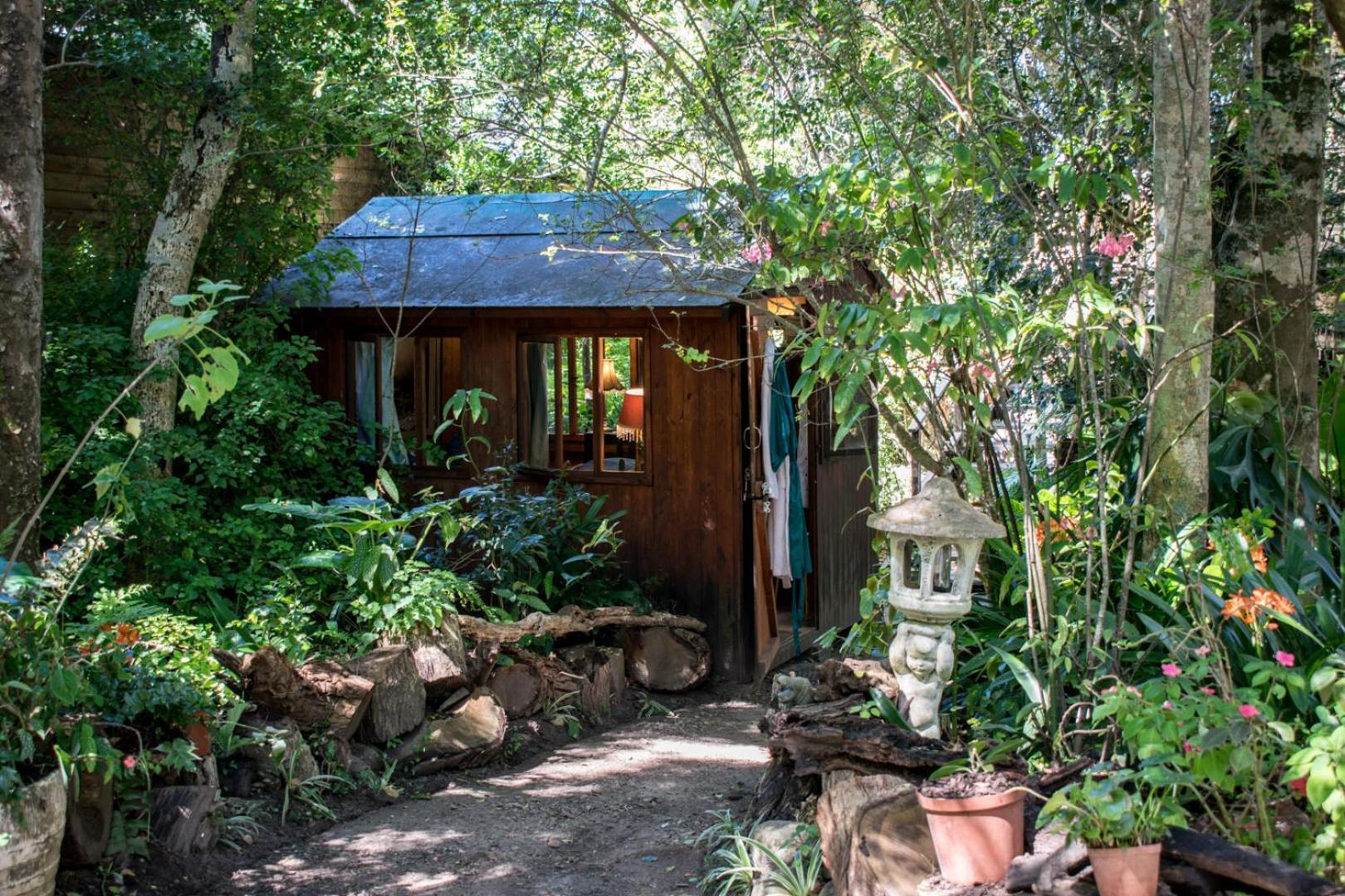Nature'S Valley Health Retreat A Hide Away In The Forest Luaran gambar