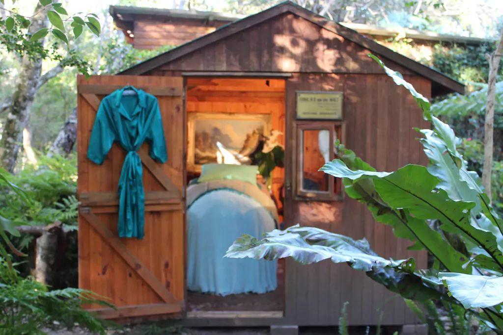 Nature'S Valley Health Retreat A Hide Away In The Forest Luaran gambar