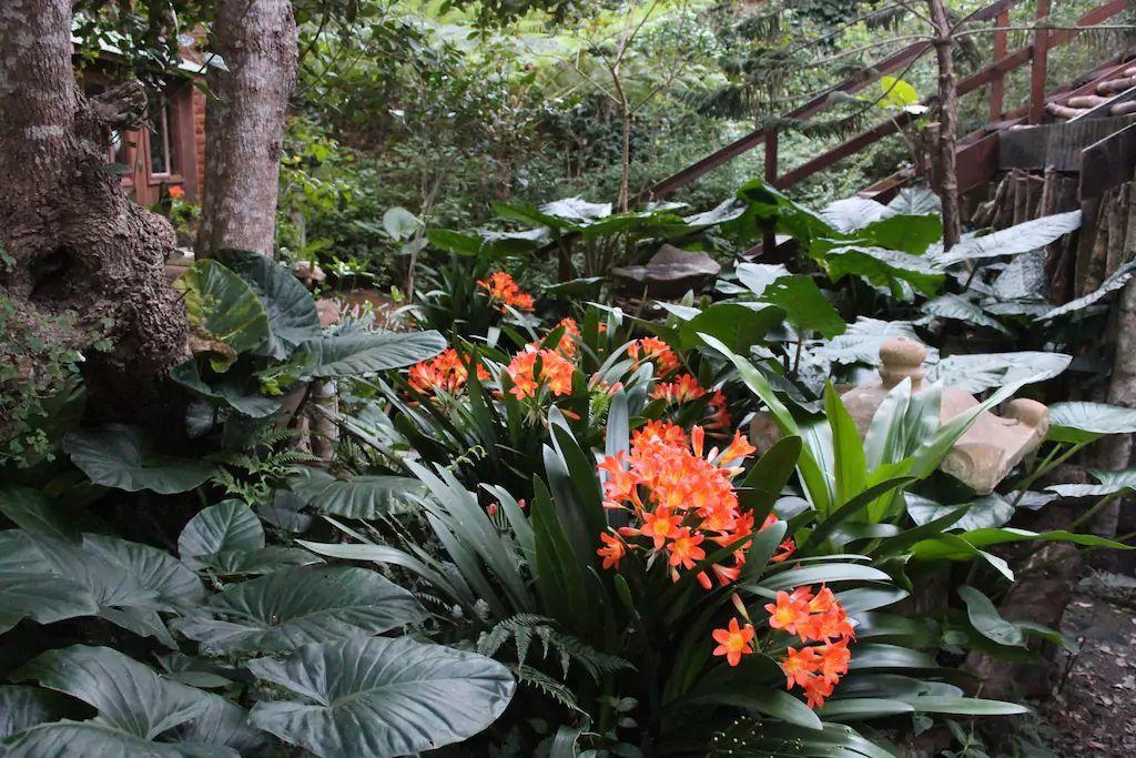 Nature'S Valley Health Retreat A Hide Away In The Forest Luaran gambar