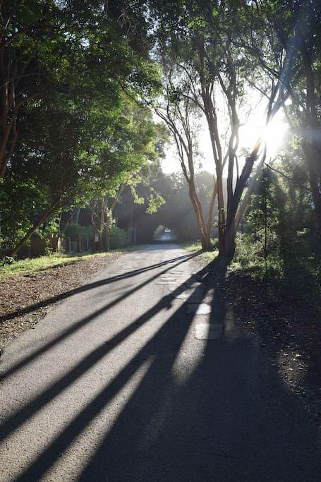 Nature'S Valley Health Retreat A Hide Away In The Forest Luaran gambar